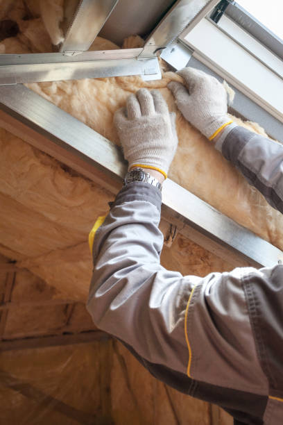 Best Insulation Contractor Near Me  in North Lima, OH