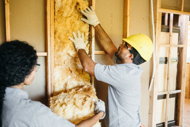 Best Blown-in Insulation  in North Lima, OH
