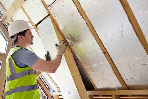 Best Insulation Removal Services  in North Lima, OH